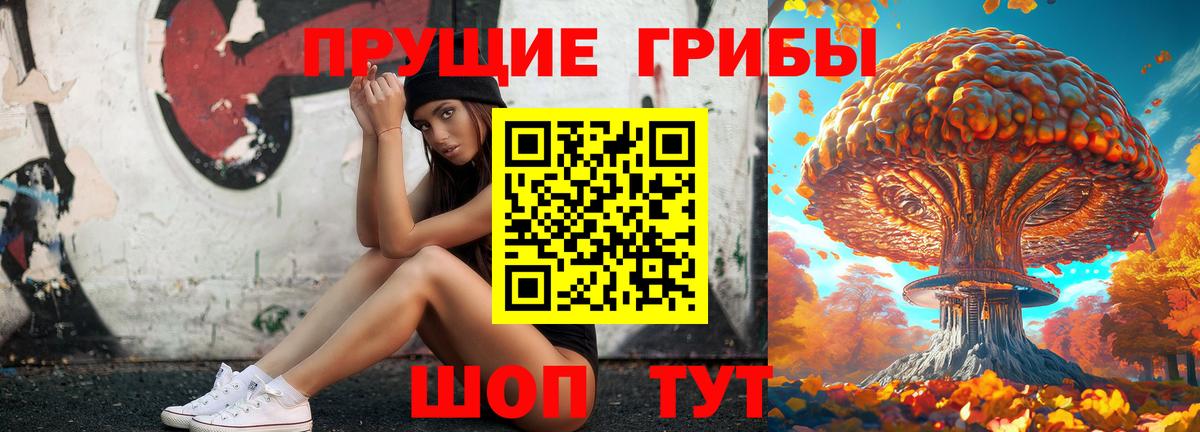 Псилоцибиновые грибы мицелий  Вход с VPN  Тимашёвск 